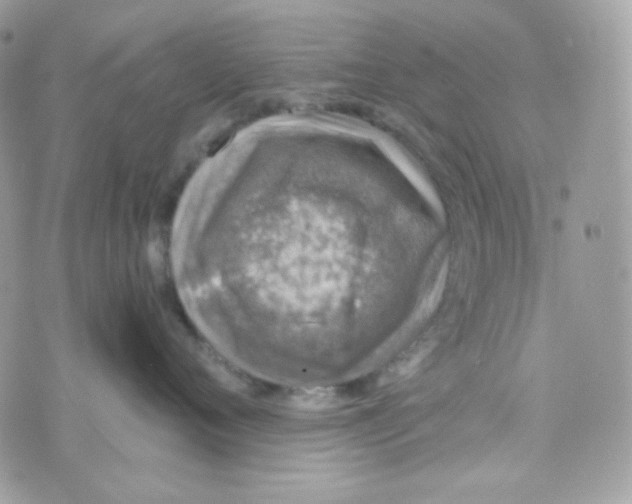 X0000074960720200609291913