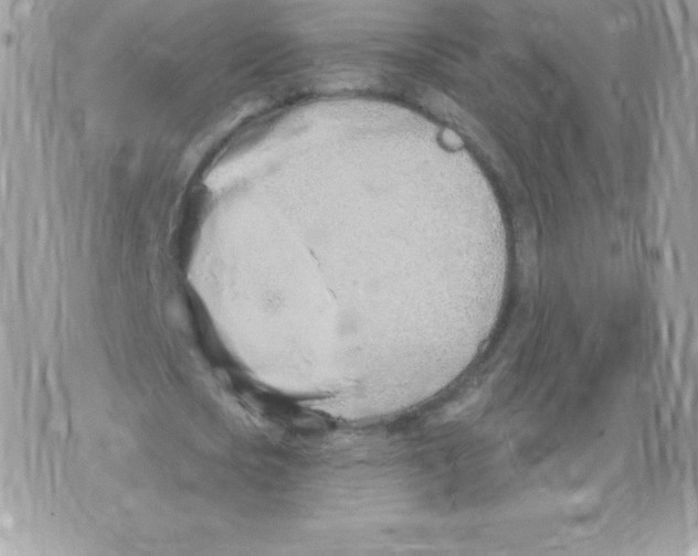 X0000074960721200609291912