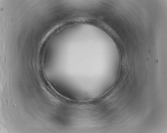 X0000074960722200609291912