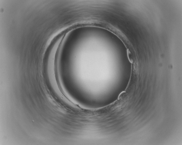 X0000074960724200609291912