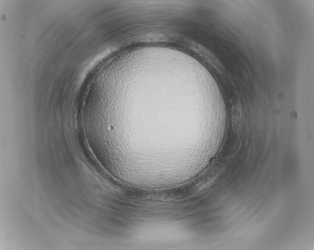 X0000074960727200609291912