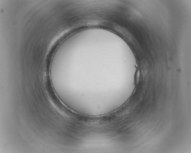 X0000074960728200609291912