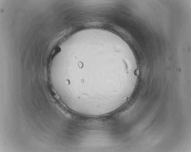 X0000074960729200609291912