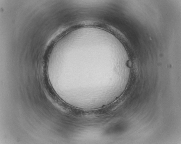 X0000074960730200609291912