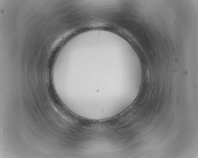 X0000074960732200609291912