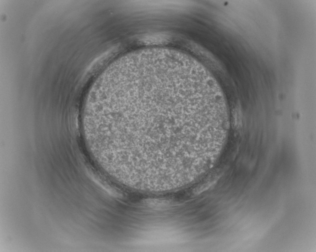 X0000074960733200609291912