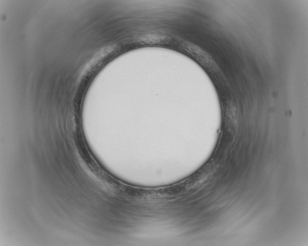 X0000074960734200609291912