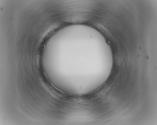 X0000074960735200609291912