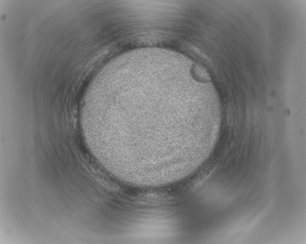 X0000074960737200609291912