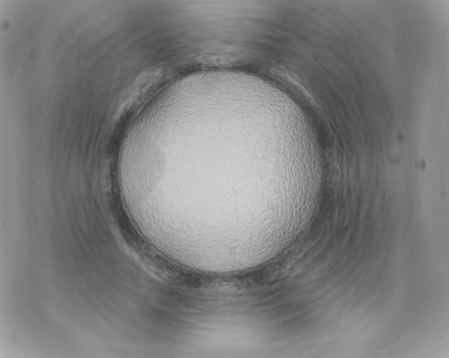 X0000074960738200609291912