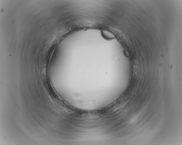 X0000074960739200609291912