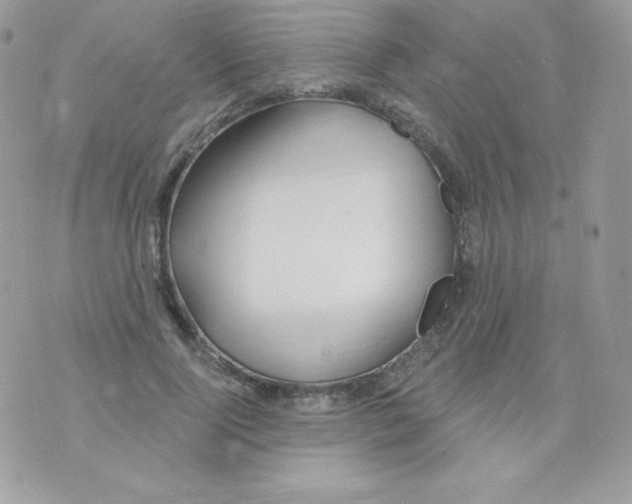 X0000074960740200609291912