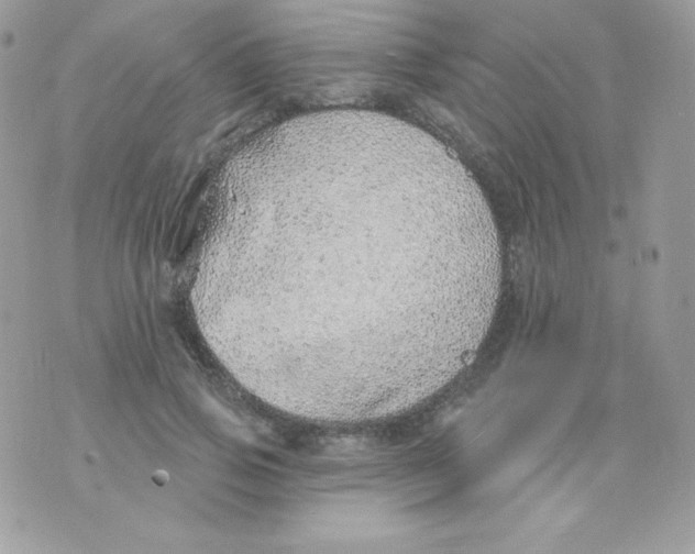 X0000074960741200609291912