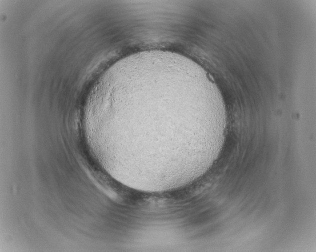 X0000074960742200609291912