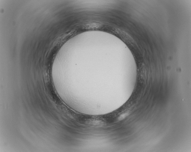 X0000074960743200609291912