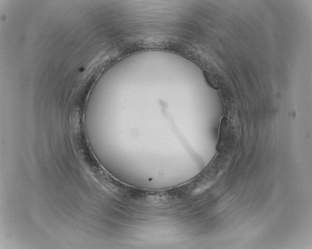 X0000074960744200609291912