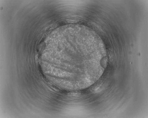 X0000074960745200609291912