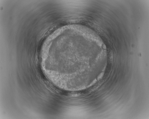 X0000074960746200609291912