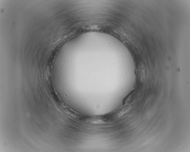 X0000074960747200609291912