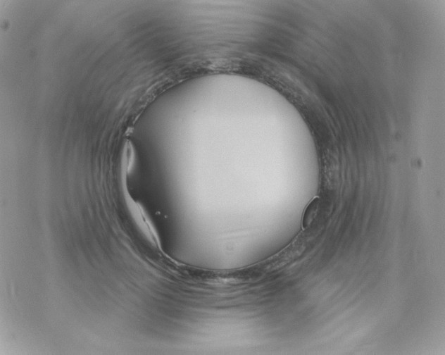 X0000074960748200609291912