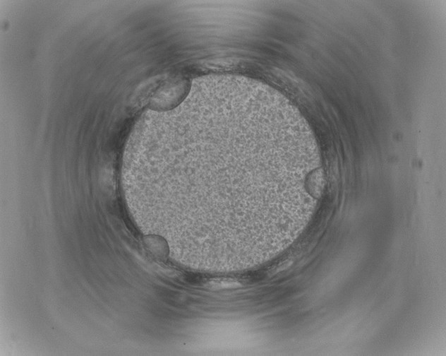 X0000074960749200609291912