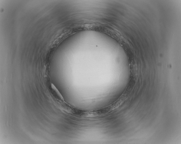 X0000074960750200609291912