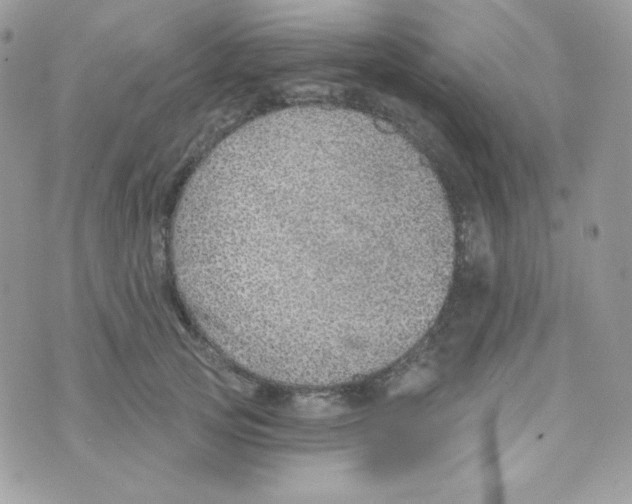 X0000074960753200609291912