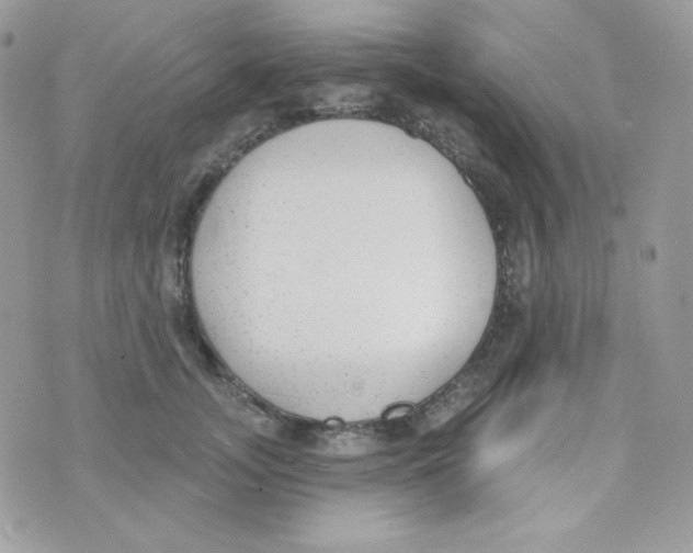 X0000074960755200609291912