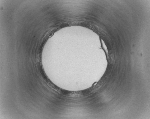 X0000074960756200609291912