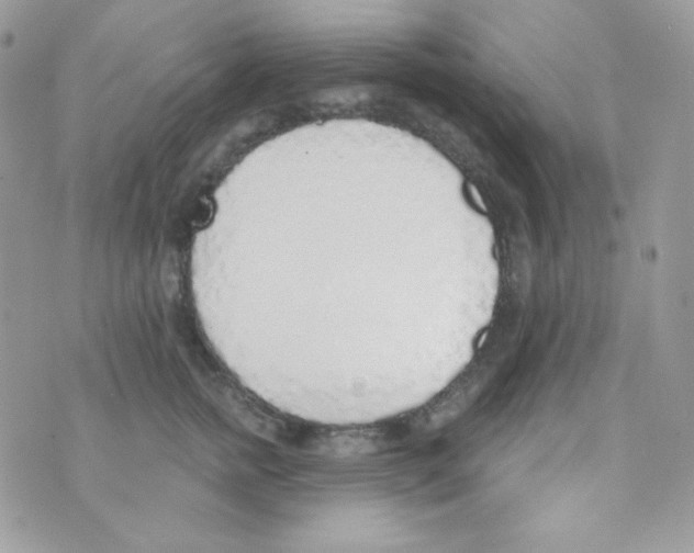 X0000074960758200609291912