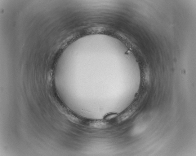 X0000074960759200609291912