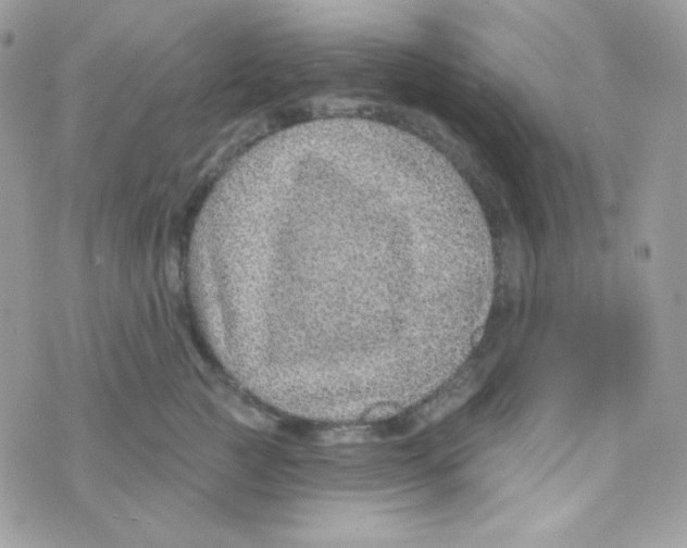 X0000074960761200609291912