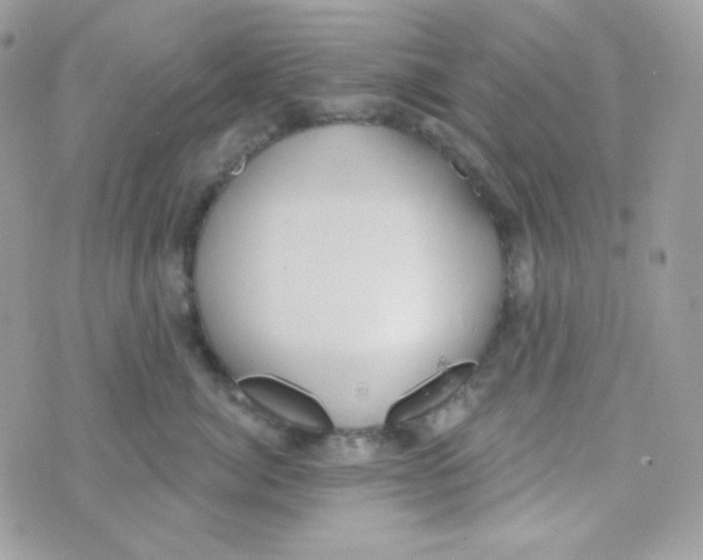 X0000074960764200609291912