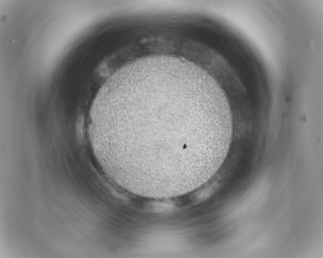 X0000074960765200609291912