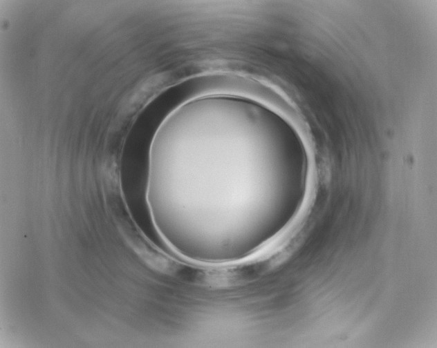 X0000074960766200609291912