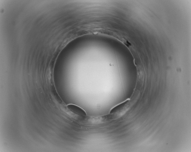 X0000074960767200609291912