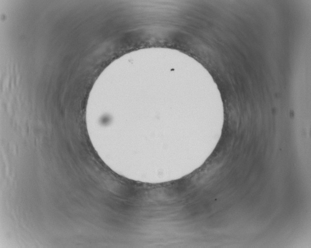 X0000074960769200609291912