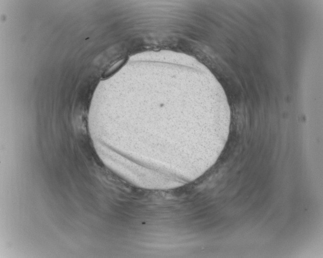 X0000074960770200609291912