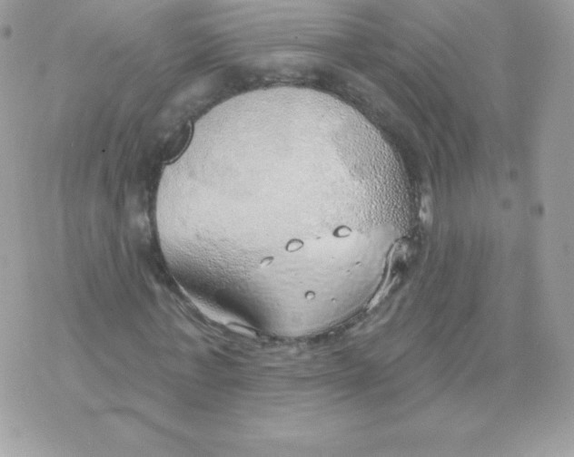 X0000074960771200609291912