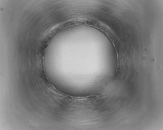 X0000074960773200609291912