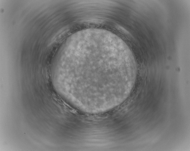 X0000074960774200609291912