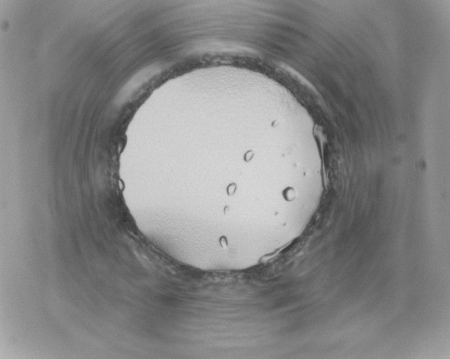 X0000074960775200609291912