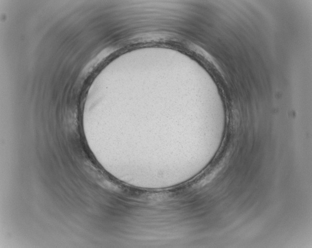 X0000074960778200609291912