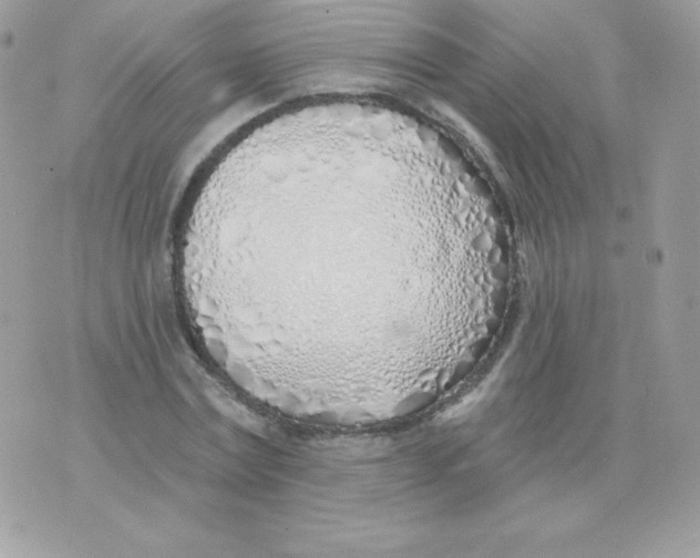 X0000074960779200609291912