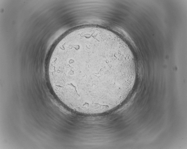 X0000074960780200609291912