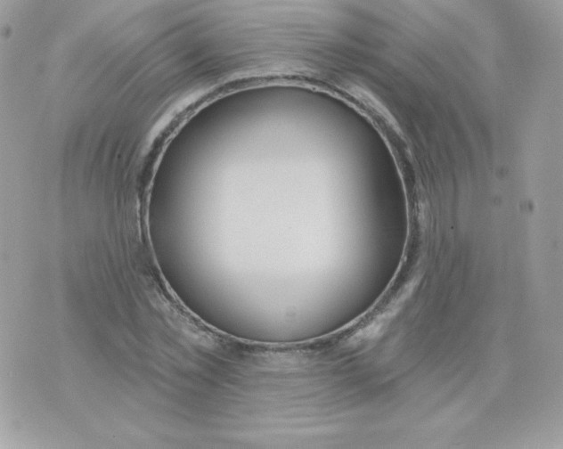 X0000074960781200609291912