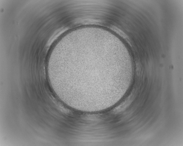 X0000074960782200609291911