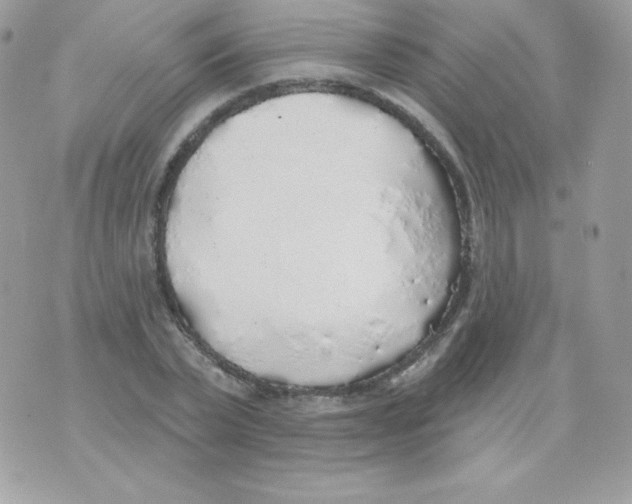 X0000074960783200609291911