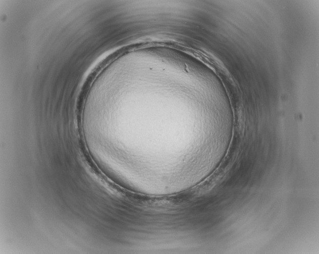 X0000074960784200609291911