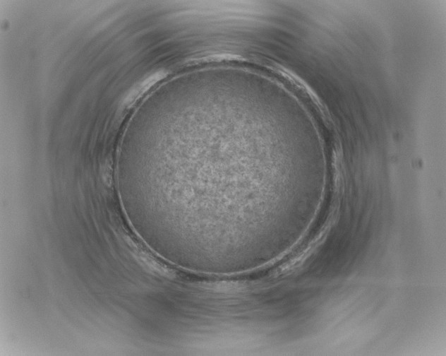 X0000074960785200609291911